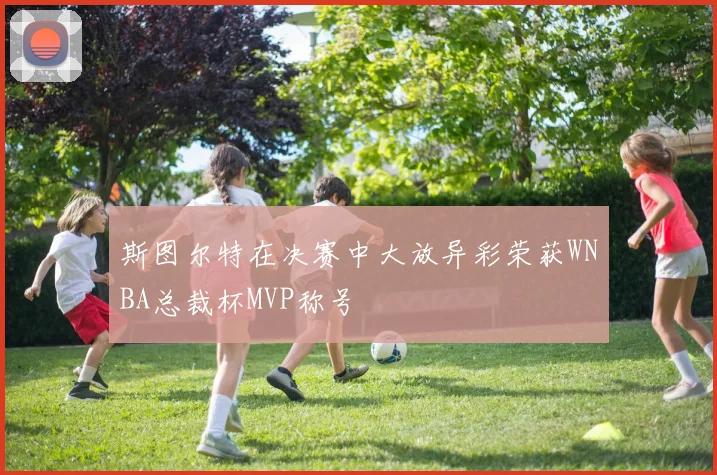 斯图尔特在决赛中大放异彩荣获WNBA总裁杯MVP称号